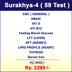 Surakhya-4 copy